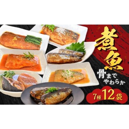 ふるさと納税 魚貝類 鹿児島県 鹿児島市 煮魚12袋セット K385-001_01