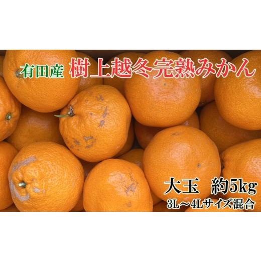 ふるさと納税 果物類 みかん 和歌山県 有田川町 先行予約 [濃厚・まろやか]有田産樹上越冬完熟みかん大玉約5kg(3L・4Lサイズ・秀優混合品) 2027年1月下旬…