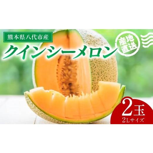 ふるさと納税 メロン メロン赤肉 熊本県 八代市 先行予約 産地直送 クインシーメロン 2Lサイズ 2玉 約3kg クインシー メロン めろん 赤肉メロン 赤肉 果物 く…