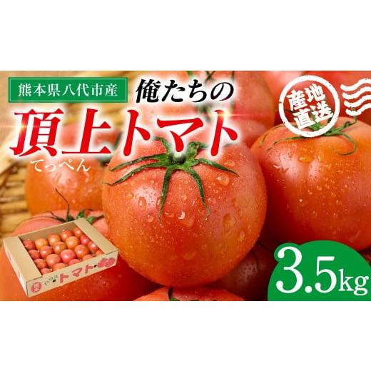 ふるさと納税 野菜類 トマト 熊本県 八代市 産地直送 俺たちの頂上トマト 3.5kg トマト とまと 野菜 やさい 旬 旬の野菜 新鮮な野菜 地元産野菜 熊本県 八代市…