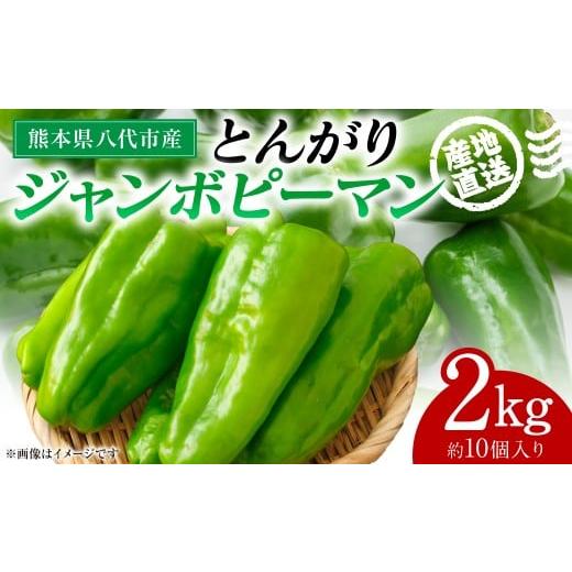 ふるさと納税 野菜類 熊本県 八代市 先行予約 産地直送 とんがりジャンボピーマン 2kg 野菜 やさい 野菜炒め サラダ 夏野菜 新鮮 旬 無限ピーマン おつまみ B…