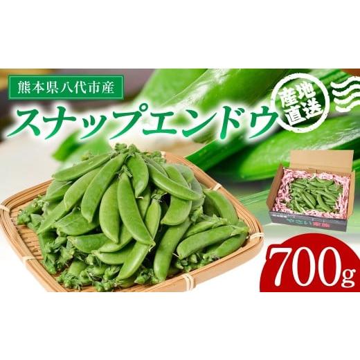 ふるさと納税 豆類 熊本県 八代市 産地直送 スナップエンドウ 700g えんどう 豆 シャキシャキ食感 甘い 旬 野菜 やさい 新鮮 熊本県 八代市