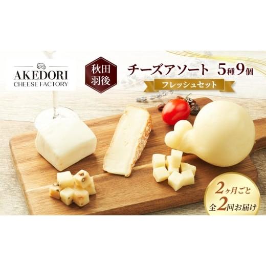 ふるさと納税 加工品等 チーズ 秋田県 羽後町 2ヶ月毎全2回お届け 秋田 羽後 チーズアソート5種9個/フレッシュセット[明通りチーズ工房]モッツァレラ・カ…