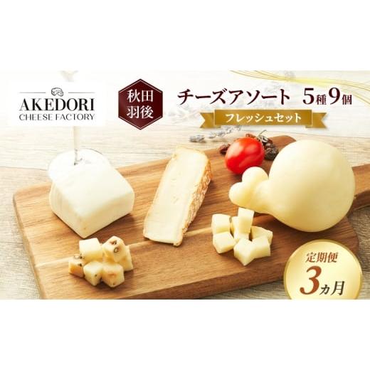 ふるさと納税 加工品等 チーズ 秋田県 羽後町 定期便3ヵ月 秋田 羽後 チーズアソート5種9個/フレッシュセット[明通りチーズ工房]モッツァレラ・カチョカバ…