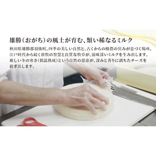 ふるさと納税 加工品等 チーズ 秋田県 羽後町  2ヵ月毎全2回お届け 秋田 羽後 チーズアソート4種／定番セット［明通りチーズ工房］モッツァレラ・カチョカバロ…_4