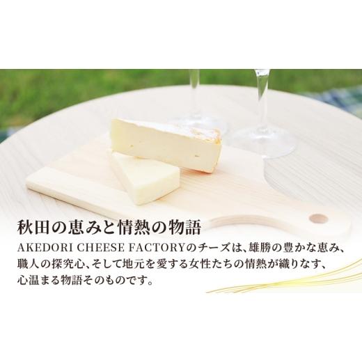 ふるさと納税 加工品等 チーズ 秋田県 羽後町  2ヵ月毎全2回お届け 秋田 羽後 チーズアソート4種／定番セット［明通りチーズ工房］モッツァレラ・カチョカバロ…_7