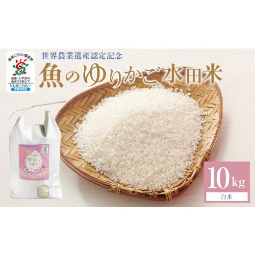 ふるさと納税 米 滋賀県 野洲市 米 きらみずき 魚のゆりかご水田米 滋賀県産 10kg