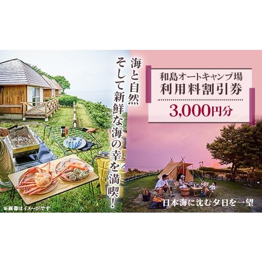 ふるさと納税 アウトドアグッズ 新潟県 長岡市 P9-01和島オートキャンプ場利用割引券 3000円分