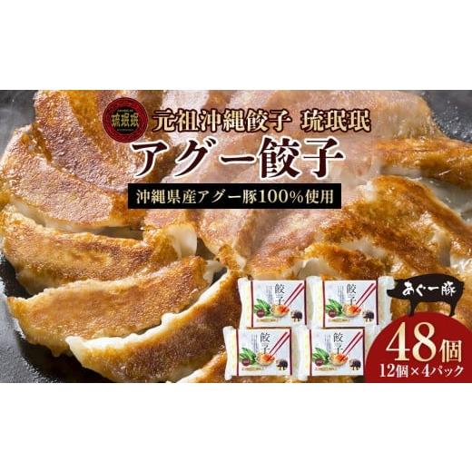 ふるさと納税 餃子 沖縄県 浦添市 琉みんみん 沖縄県アグー餃子 4パック 48個入り