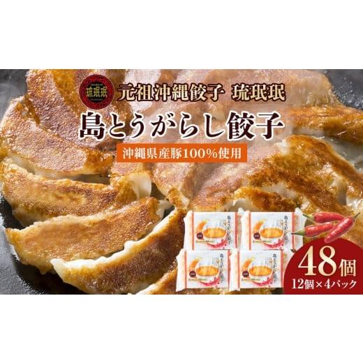 ふるさと納税 餃子 沖縄県 浦添市 琉みんみん 沖縄県産島とうがらし餃子 4パック 48個入り