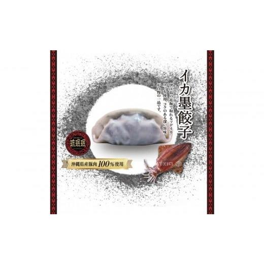 ふるさと納税 餃子 沖縄県 浦添市 琉みんみん 沖縄県産イカスミ餃子 4パック 48個入り