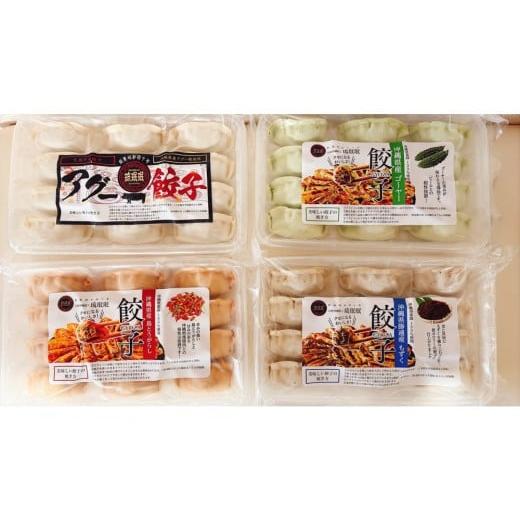 ふるさと納税 餃子 沖縄県 浦添市 琉みんみん 沖縄餃子 詰め合わせパック 4パック 48個入り