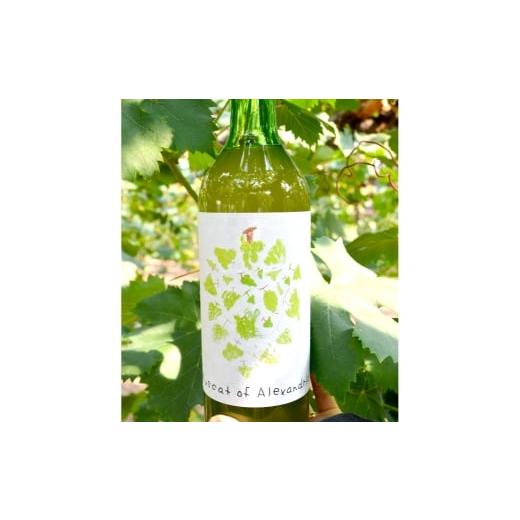 ふるさと納税 果汁飲料 ぶどう 岡山県 倉敷市 マスカット・オブ・アレキサンドリアジュース 720g マスカット 有機栽培