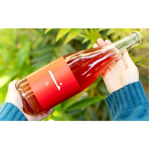 ふるさと納税 ワイン 赤ワイン 岡山県 倉敷市 赤ワイン 「 朱2025 」 750ml お酒 酒 アルコール ワイン マスカット・オブ・アレキサンドリア マスカット