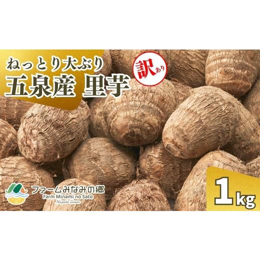 ふるさと納税 人参・大根・他根菜 新潟県 五泉市 令和8年産先行予約 訳あり 五泉産 大玉さといも(2L以上)1kg 新潟県 五泉市 ファームみなみの郷