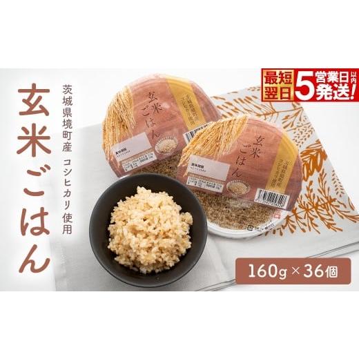 ふるさと納税 米 茨城県 境町 米 玄米 パックご飯 コシヒカリ使用 玄米ごはん 160g×36個 茨城県境町産 パックライス ライスパック ご飯 ご飯パック ごはんパ…