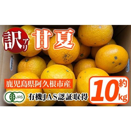 ふるさと納税 みかん・柑橘類 鹿児島県 阿久根市 訳あり 有機JAS 甘夏(約10kg) 国産 果実 果物 フルーツ 柑橘 デザート 訳アリ 期間限定 有機栽培 中村農場 ak…