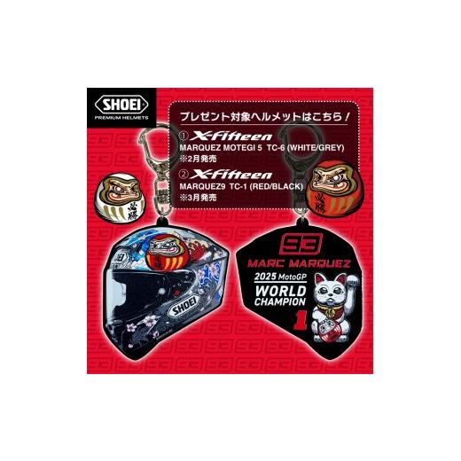 ふるさと納税 スポーツ・アウトドア 茨城県 稲敷市 SHOEIヘルメット X-Fifteen MARQUEZ MOTEGI5 TC-6 L フィッティングチケット付き｜エックスフィフティーン …_6