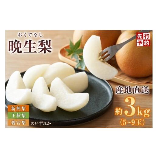 ふるさと納税 梨 兵庫県 香美町 2026年産 先行予約 晩生梨 品種 (新興梨 王秋梨 愛宕梨のいずれか)3kg(5〜9玉) 令和8年10月中旬以降発送予定 晩生品種 新…