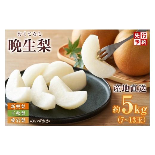 ふるさと納税 梨 兵庫県 香美町 [2026年産 先行予約] 晩生梨 品種 (新興梨 王秋梨 愛宕梨のいずれか)5kg(7〜13玉) 令和8年10月中旬以降発送予定 晩生品…