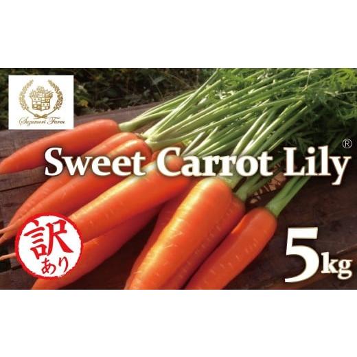 ふるさと納税 野菜類 人参 愛知県 碧南市 (3/15まで受付) メディア出演多数 期間限定 (訳あり)鈴盛農園の甘〜いにんじん 『スウィートキャロットリリィ』…