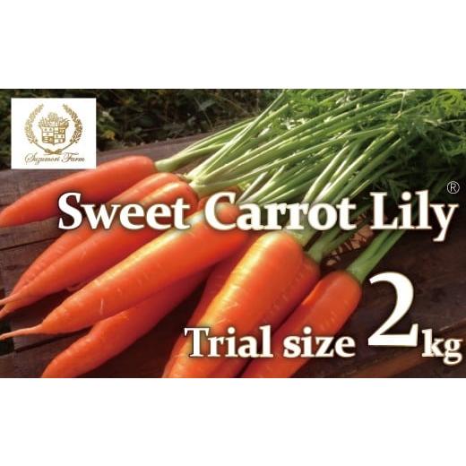 ふるさと納税 野菜類 人参 愛知県 碧南市 メディア出演多数 期間限定 ( お試し ) 鈴盛農園の甘〜いにんじん 『スウィートキャロットリリィ』 2kg 人参 甘い …