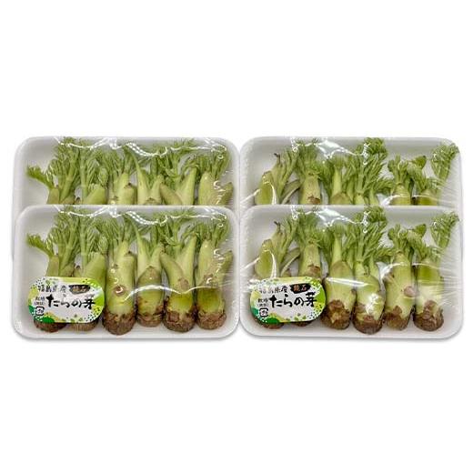 ふるさと納税 野菜類 山菜 福島県 鏡石町 山菜の王様 鏡石の自然の恵み タラの芽 約200g（約50g×4） 山菜 野菜 食品 F6Q-467の画像