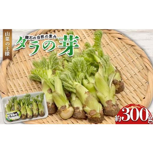 ふるさと納税 野菜類 山菜 福島県 鏡石町 山菜の王様 鏡石の自然の恵み タラの芽 約300g（約50g×6） 山菜 野菜 食品 F6Q-468の画像