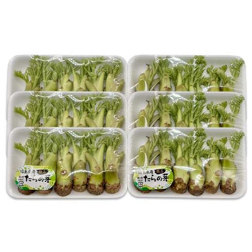 ふるさと納税 野菜類 山菜 福島県 鏡石町 山菜の王様 鏡石の自然の恵み タラの芽 約300g（約50g×6） 山菜 野菜 食品 F6Q-468の画像