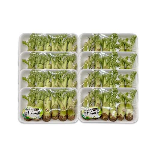ふるさと納税 野菜類 山菜 福島県 鏡石町 山菜の王様 鏡石の自然の恵み タラの芽 約400g（約50g×8） 山菜 野菜 食品 F6Q-469の画像