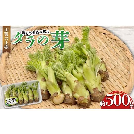 ふるさと納税 野菜類 山菜 福島県 鏡石町 山菜の王様 鏡石の自然の恵み タラの芽 約500g（約50g×10） 山菜 野菜 食品 F6Q-470の画像
