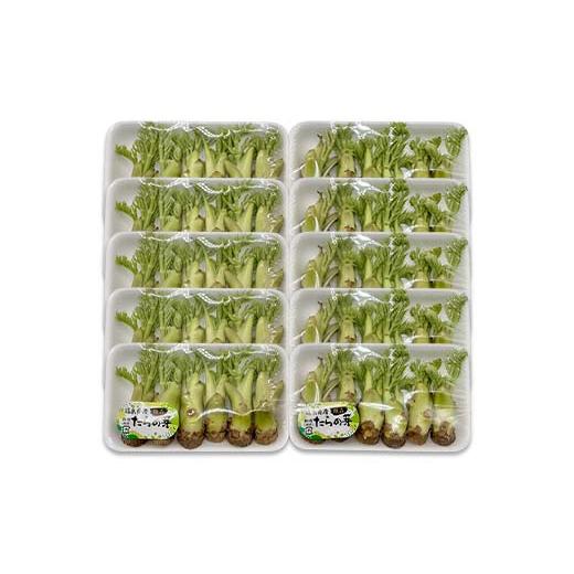 ふるさと納税 野菜類 山菜 福島県 鏡石町 山菜の王様 鏡石の自然の恵み タラの芽 約500g（約50g×10） 山菜 野菜 食品 F6Q-470の画像