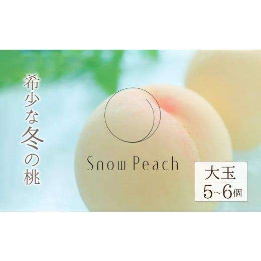 ふるさと納税 もも 山梨県 笛吹市 2026年発送 先行予約 Snow Peach (大玉5〜6個入り)208-003