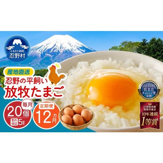 ふるさと納税 卵（鶏、烏骨鶏等） 山梨県 忍野村  12ヶ月定期便 忍野の平飼い放牧卵240個（毎月20個×12回） 割れ保証含む　 卵 定期便 定期 国産 産地直送 毎…_1