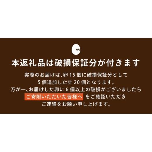 ふるさと納税 卵（鶏、烏骨鶏等） 山梨県 忍野村  12ヶ月定期便 忍野の平飼い放牧卵240個（毎月20個×12回） 割れ保証含む　 卵 定期便 定期 国産 産地直送 毎…_2
