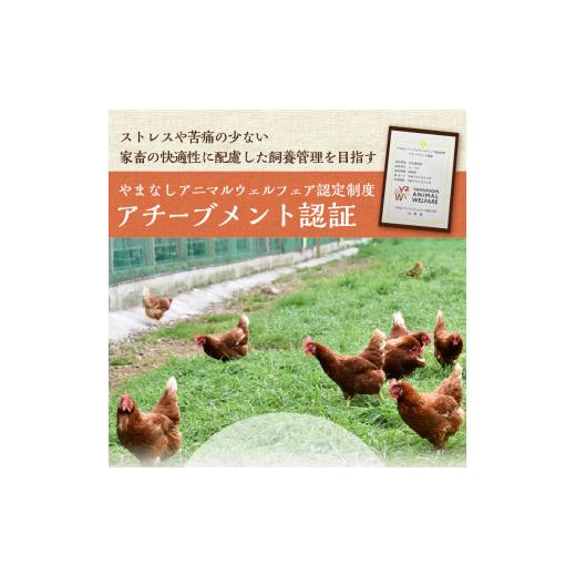 ふるさと納税 卵（鶏、烏骨鶏等） 山梨県 忍野村  12ヶ月定期便 忍野の平飼い放牧卵240個（毎月20個×12回） 割れ保証含む　 卵 定期便 定期 国産 産地直送 毎…_3