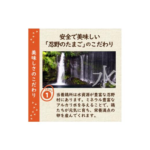 ふるさと納税 卵（鶏、烏骨鶏等） 山梨県 忍野村  12ヶ月定期便 忍野の平飼い放牧卵240個（毎月20個×12回） 割れ保証含む　 卵 定期便 定期 国産 産地直送 毎…_5