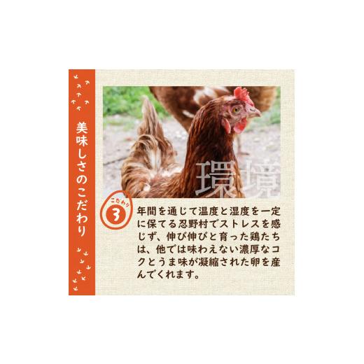 ふるさと納税 卵（鶏、烏骨鶏等） 山梨県 忍野村  12ヶ月定期便 忍野の平飼い放牧卵240個（毎月20個×12回） 割れ保証含む　 卵 定期便 定期 国産 産地直送 毎…_7