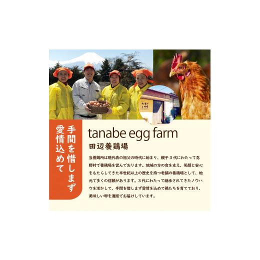 ふるさと納税 卵（鶏、烏骨鶏等） 山梨県 忍野村  12ヶ月定期便 忍野の平飼い放牧卵240個（毎月20個×12回） 割れ保証含む　 卵 定期便 定期 国産 産地直送 毎…_9