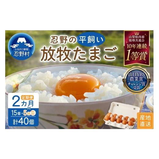 ふるさと納税 卵(鶏、烏骨鶏等) 山梨県 忍野村 2ヶ月定期便 忍野の平飼い放牧卵40個(15個+割れ保証5個)