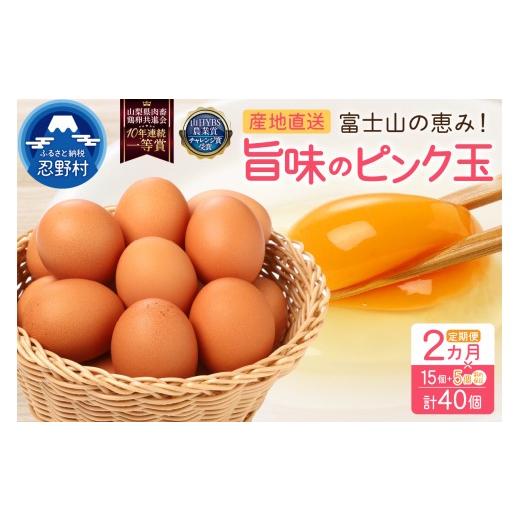 ふるさと納税 卵(鶏、烏骨鶏等) 山梨県 忍野村 2ヶ月定期便 "忍野の卵"旨味のピンク玉 卵15個+割れ保証5個 計40個