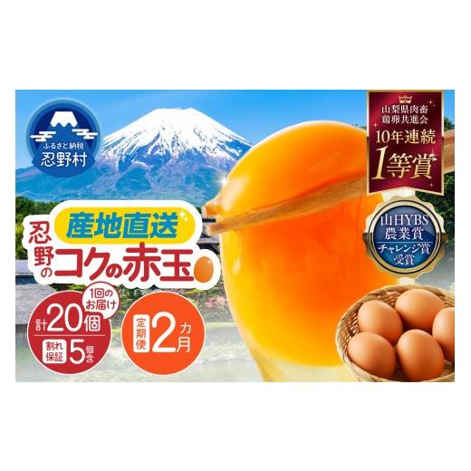 ふるさと納税 卵(鶏、烏骨鶏等) 山梨県 忍野村 2ヶ月定期便 富士山の麓で育った産地直送 "忍野の卵" 卵15個+割れ保証5個 計40個