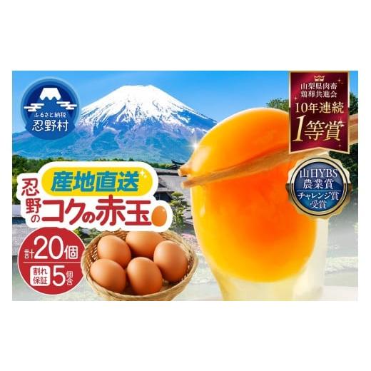 ふるさと納税 卵(鶏、烏骨鶏等) 山梨県 忍野村 富士山の麓で育った産地直送 "忍野の卵" 卵15個+割れ保証5個 計20個 たまご 旨味 人気 赤玉 割れ保証付 …