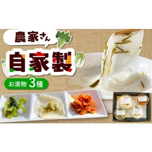 ふるさと納税 加工品等 漬物 福岡県 糸島市 農家が作った糸島野菜のお漬物セット 糸島市 / 農園カフェ 風天