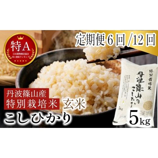 ふるさと納税 米 コシヒカリ 兵庫県 丹波篠山市 定期便 令和7年産 丹波篠山市 特Aランク こしひかり 玄米 5kg 全6回 特別栽培米 減農薬 自家製堆肥 地域限定…