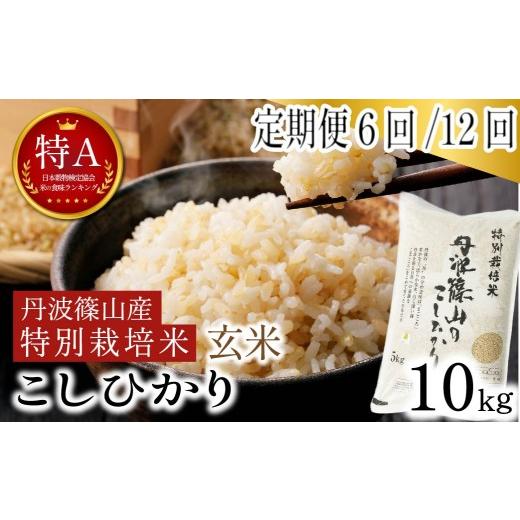 ふるさと納税 米 コシヒカリ 兵庫県 丹波篠山市 定期便 令和7年産 丹波篠山市 特Aランク こしひかり 玄米 10kg 全12回 特別栽培米 減農薬 自家製堆肥 地域限…