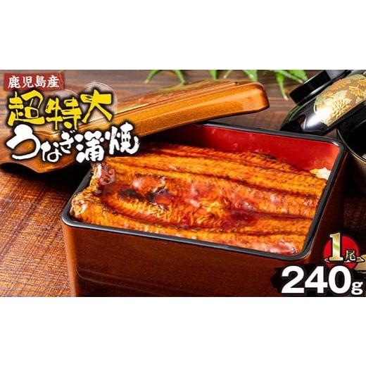 ふるさと納税 うなぎ 鹿児島県 曽於市 鹿児島産超特大うなぎ蒲焼(無頭) (計240g以上・240g以上×1尾) 鰻 蒲焼き 真空パック 株式会社財宝
