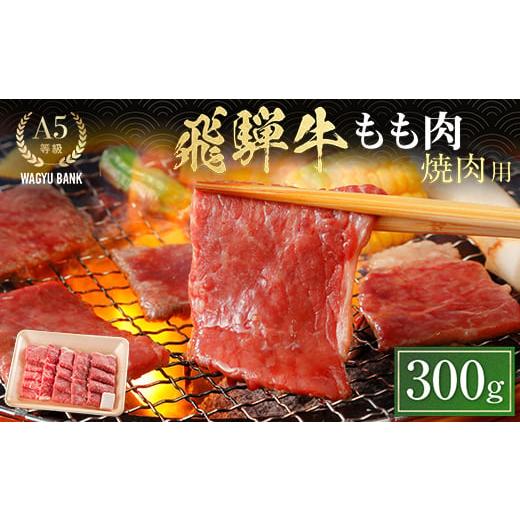 ふるさと納税 牛肉 モモ 岐阜県 中津川市 飛騨牛もも肉 焼肉用 300g