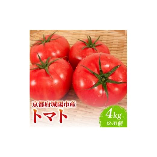 ふるさと納税 野菜類 トマト 京都府 城陽市 京都府産 トマト 約4kg(12〜30個)産地直送 1710056