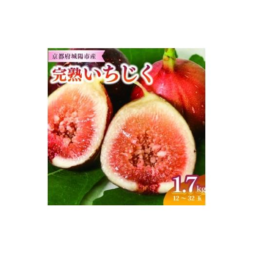 ふるさと納税 果物類 京都府 城陽市 完熟いちじく 約1.7kg (12〜32個目安) 5L〜Mサイズ 1713246